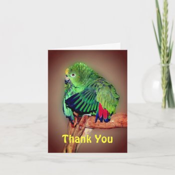 Yellow Naped Amazon Parrot Thank You Card by SmilinEyesTreasures at Zazzle