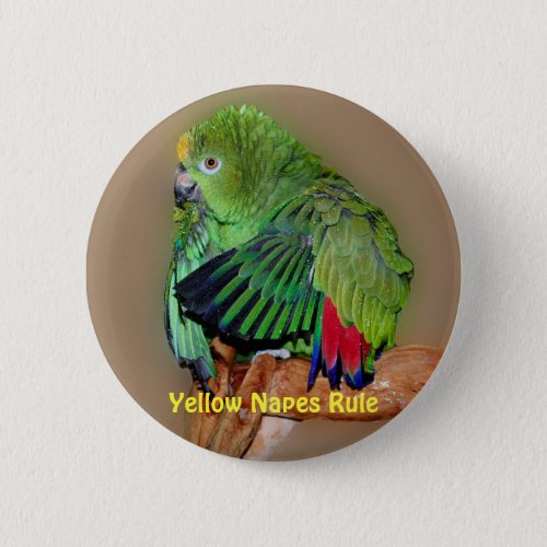 Yellow Naped Amazon Parrots Rule Button