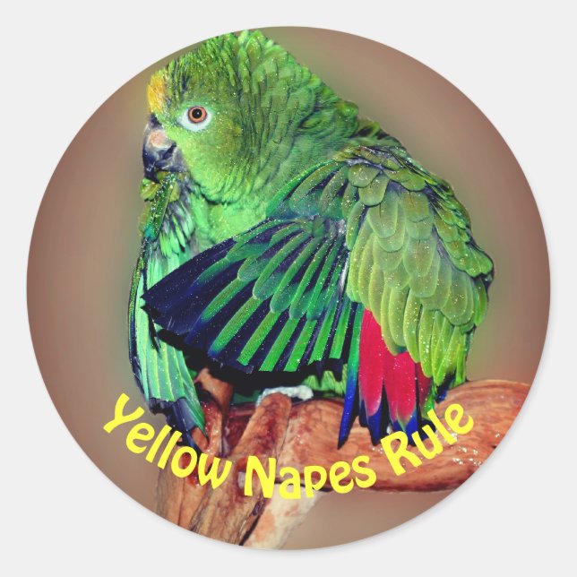 Yellow Naped Amazon Parrots Rule  Classic Round Sticker (Front)