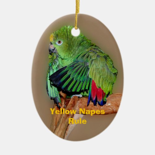 Yellow Napes Rule Amazon Parrot Bird Ornament