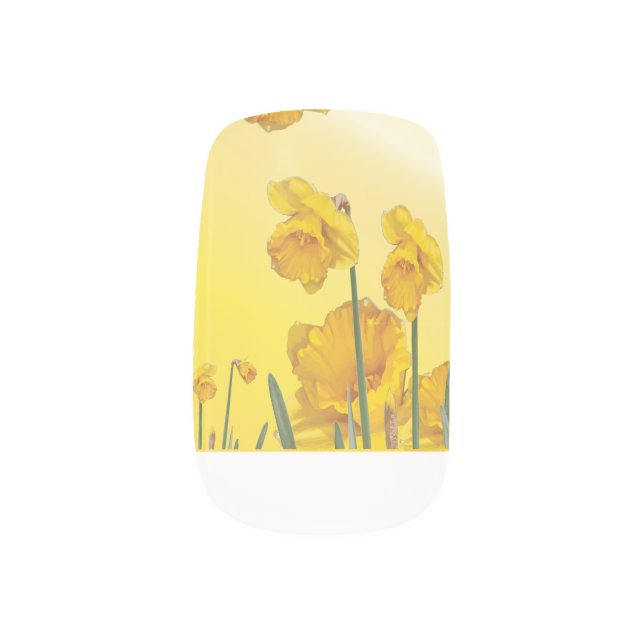 Yellow Narcissus Daffodil Minx Nail Wraps (Left Thumb)