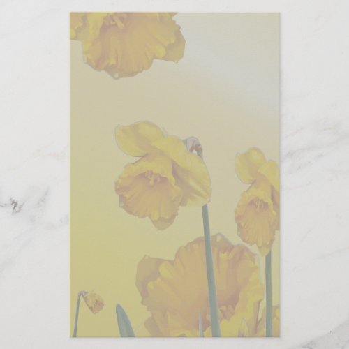 Yellow Narcissus Daffodil Stationery