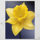 Yellow Narcissus Flower Floral watercolor paint (Front)