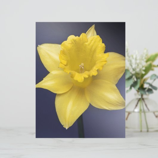 Yellow Narcissus Flower Floral watercolor paint (Standing Front)