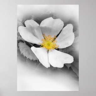 yellow on shades of gray poster