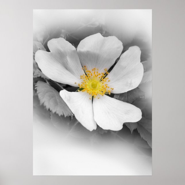 yellow on shades of gray poster (Front)