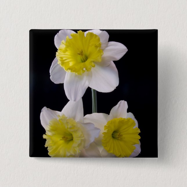 Yellow on White Daffodil Pinback Button (Front)