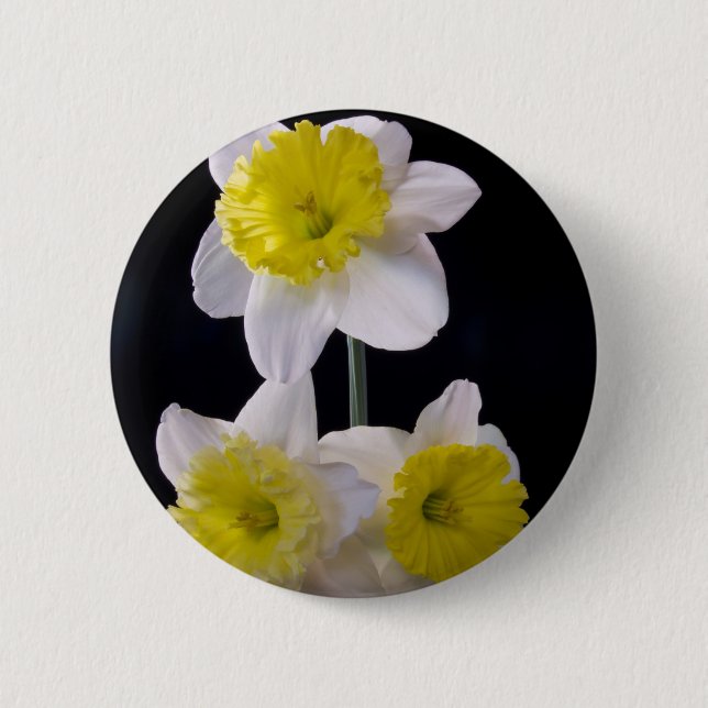 Yellow on White Daffodil Pinback Button (Front)