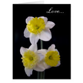 Yellow on White Daffodil Valentine's (Front)