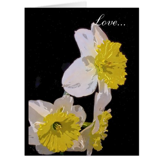 Yellow on White Water Color Daffodil (Front)