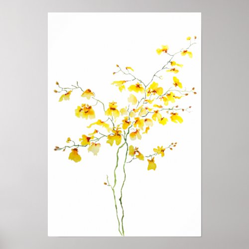 yellow Oncidium Orchid watercolor Poster