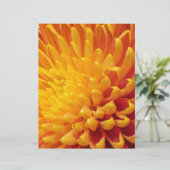 Yellow & Orange Chrysanthemum (Standing Front)