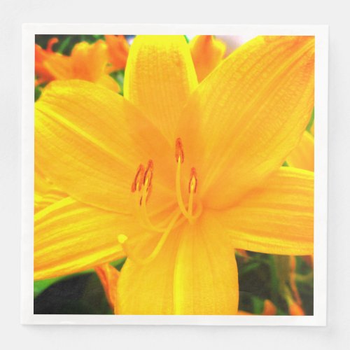 Yellow Orange Day Lilies Sunny Garden Flowers Paper Dinner Napkins