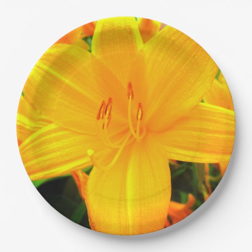 Yellow Orange Day Lilies Sunny Garden Flowers Paper Plates