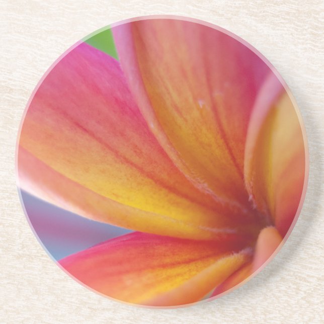 Yellow Orange Deep Pink Tropical Plumeria Flower Drink Coaster (Front)