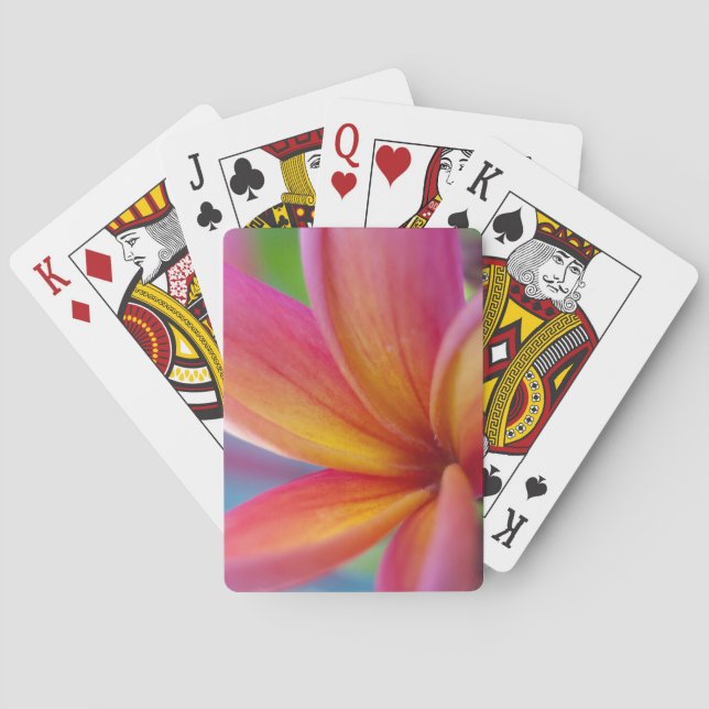 Yellow Orange Deep Pink Tropical Plumeria Flower Poker Cards (Back)