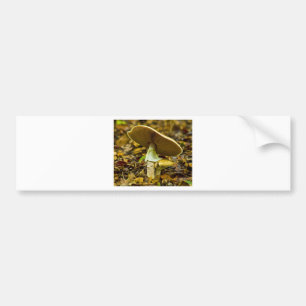 Yellow-orange Fly Agaric Bumper Sticker