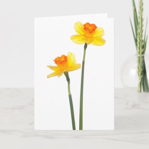 Yellow  Orange Jonquil Daffodils Card