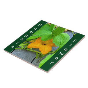 Yellow Orange Pumpkin Flower on Vine Ceramic Tile