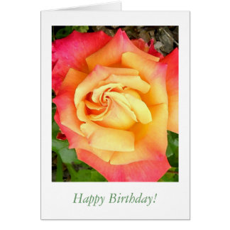 Happy Birthday Yellow Rose Gifts on Zazzle