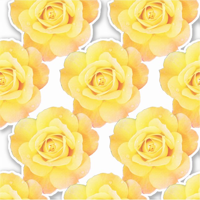 Yellow Orange Rose Patterns Floral Flowers Garden Sticker (Front)