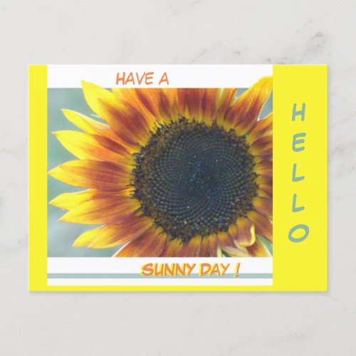 Yellow Orange Sunflower Cust HELLO Postcard