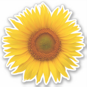 Yellow Orange Sunflower Flower Kiss-Cut Sticker