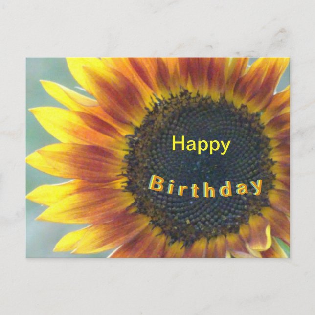 Yellow Orange Sunflower Happy Birthday Postcard (Front)