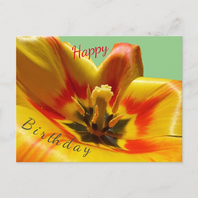 Yellow Orange Tulip Happy Birthday Postcard (Front)