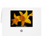 Yellow Orchid (Back Horizontal)