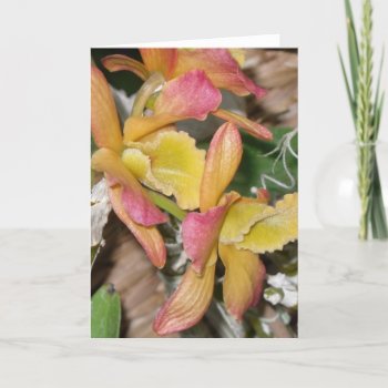 Yellow Orchid Blank Greeting Card by SPKCreative at Zazzle