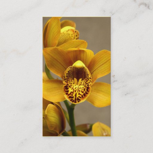 Customizable Yellow Orchid business cards