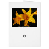 Yellow Orchid Cards (Back)