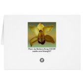 Yellow Orchid Cards (Back Horizontal)