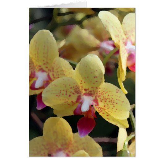 Yellow orchid flowers cards (Front)