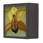 Yellow Orchid Jewelry Box