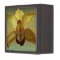 Yellow Orchid Jewelry Box