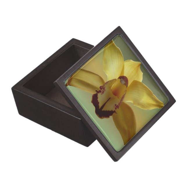 Yellow Orchid Jewelry Box (Opened)