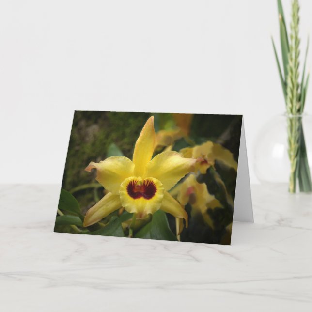 Yellow Orchid Letterpress Thank You Card (Front)