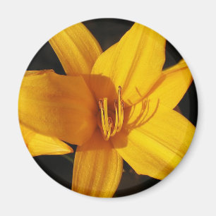 Yellow Orchid Magnet