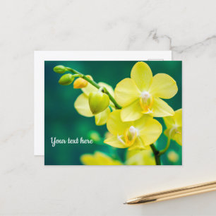 Yellow Orchid on Green Postcard