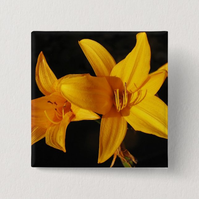 Yellow Orchid Pinback Button (Front)