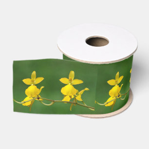 Yellow Orchid Ribbon