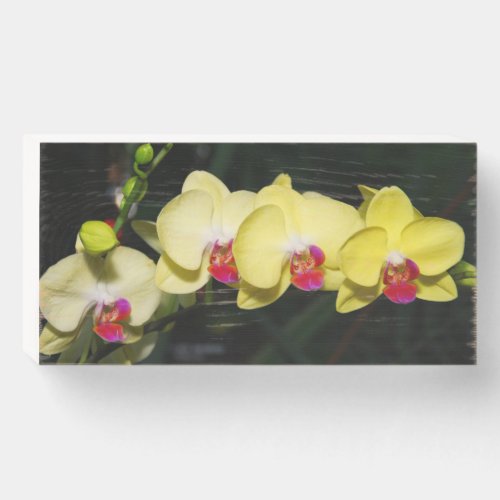 Yellow Orchids and dew drops Wooden Box Sign