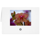 Yellow Orchids Card (Back Horizontal)