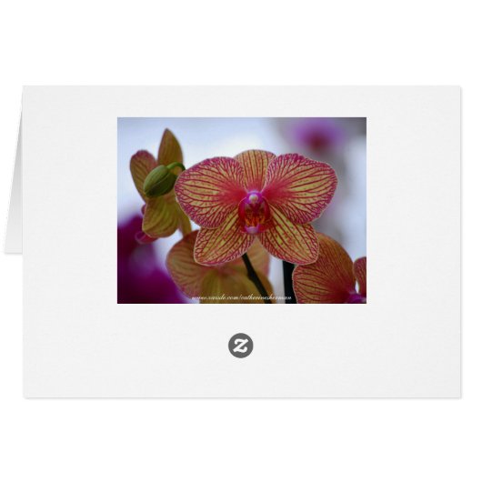 Yellow Orchids Card (Back Horizontal)