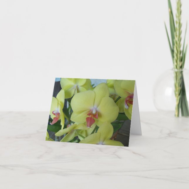 Yellow Orchids on a blank-inside notecard (Front)