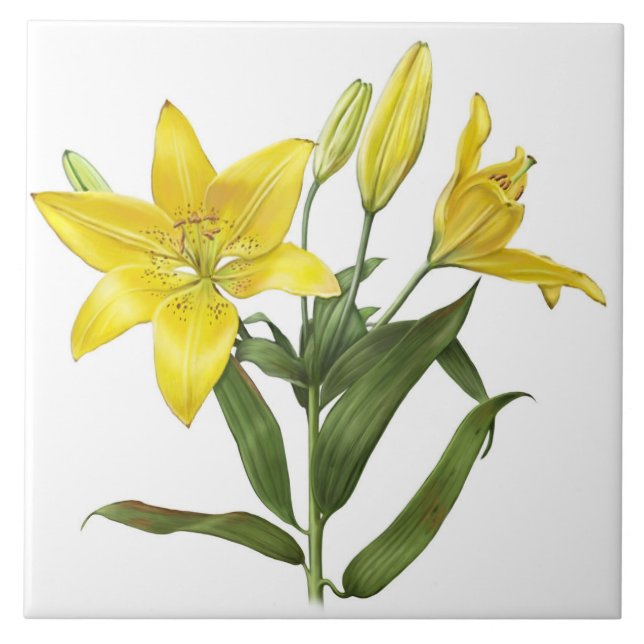 Yellow Oriental Lily Flowers Botanical Art Ceramic Tile (Front)
