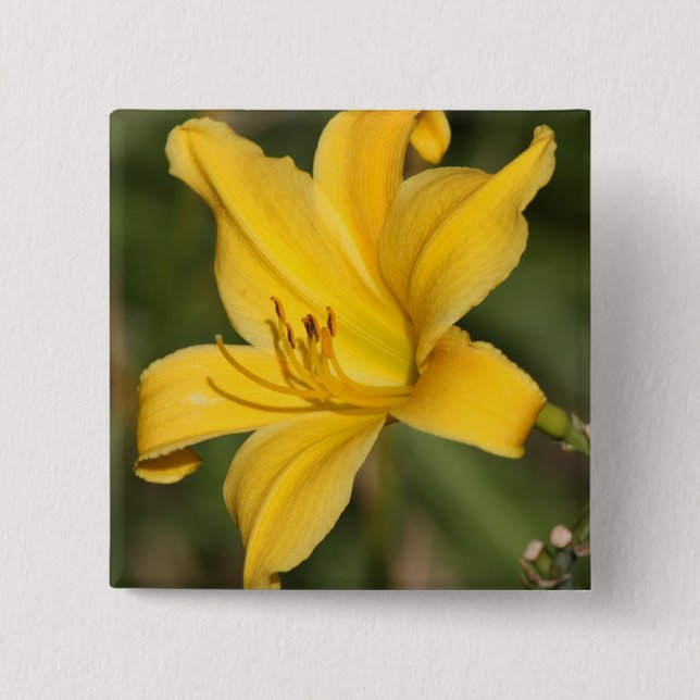 Yellow ornamental lily button (Front)
