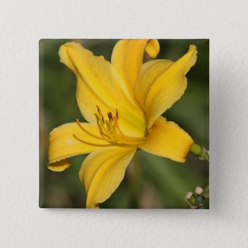 Yellow ornamental lily button